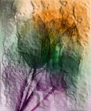 by jagriti kishore