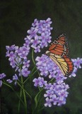 by Donna Buckalew-wagner