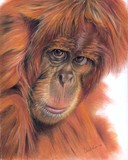 by Geraldine Simmons