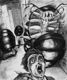 by Stephen Shepard