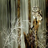 by Mary Arneson