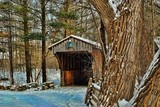 by Sheila Rotondi