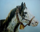by Ulysses Teixeira