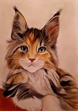 by Diane Leuzzi