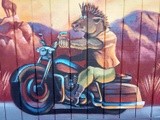 by Miguel Grijalva