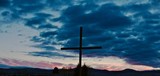 by Thomas Curry