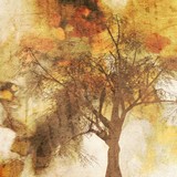 by Irena Orlov