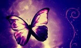 by paige view