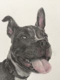by Tracy Ference, PSA, MC-IAPS
