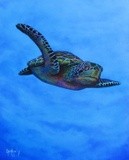 by Christine Cholowsky