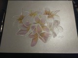 by Tracy Noel
