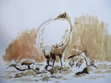 by Abhishek Rammohan
