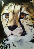 by Kenya Ferrand-Ott