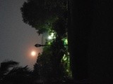 by Sree Ranjitha