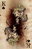 by Scott DuBar