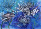 by Dianna Simms