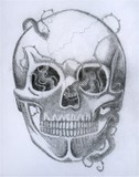 by Linzi Sayles 