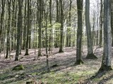 by Steen Djervad