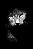 by Diana Lee