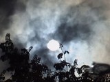 by henry oswaldsson