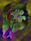 by Veena Krish