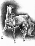 by Felanim Fire