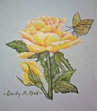 by Emily Reed