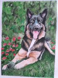 by Nancy Woodington