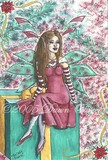 by Dawn Obrecht