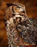 by Bonnie Latham