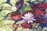 by Caroline A. Doucette