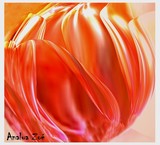 by Analua 