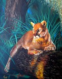 by Randy Fawcett