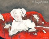 by Vicky Kenworthy