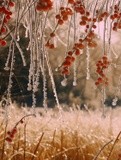 by VELYKIO - gintautas velykis -