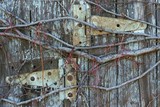 by john kovacich