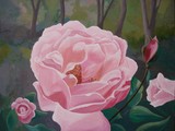 by tammy bradshaw