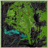by Barry Huyett