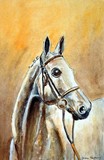 by Helen Hopkins