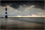 by wim denijs