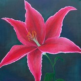 by Sarah Adams