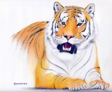 by Les Remmington-Allum