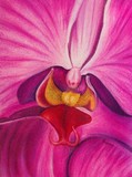 by Rebecca Langlois