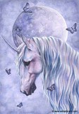 by Selina Fenech