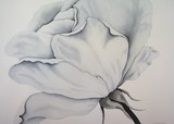 by Lori Azzolino