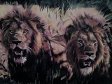 by mandy thomas