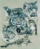 by Barbara Keith