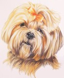 by Barbara Keith