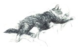 by Alexandra  Dvinitninova