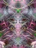 by TOMMY  BEAVER
